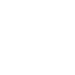 icon linkedin