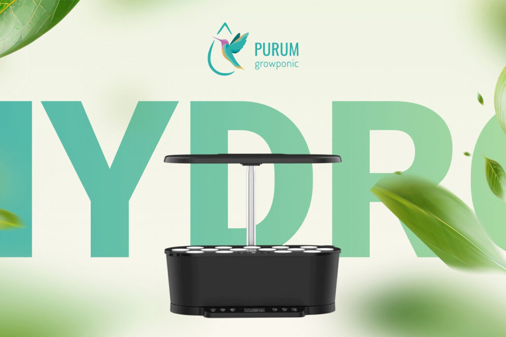 Purum